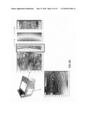 Method and apparatus for ultrasonic characterization of scale-dependent bulk material heterogeneities diagram and image