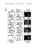 INPUT-SENSITIVE INTERFACE SELECTION FOR POSTING diagram and image