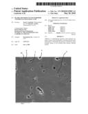 Readily-Densified Titanium Diboride and Process for Making Same diagram and image