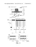 SINGLE MOLECULE MASS OR SIZE SPECTROMETRY IN SOLUTION USING A SOLITARY NANOPORE diagram and image