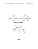 HIGH MECHANICAL STRENGTH ADDITIVES FOR POROUS ULTRA LOW-K MATERIAL diagram and image