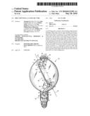 HID LAMP WITH A CANTED ARC TUBE diagram and image