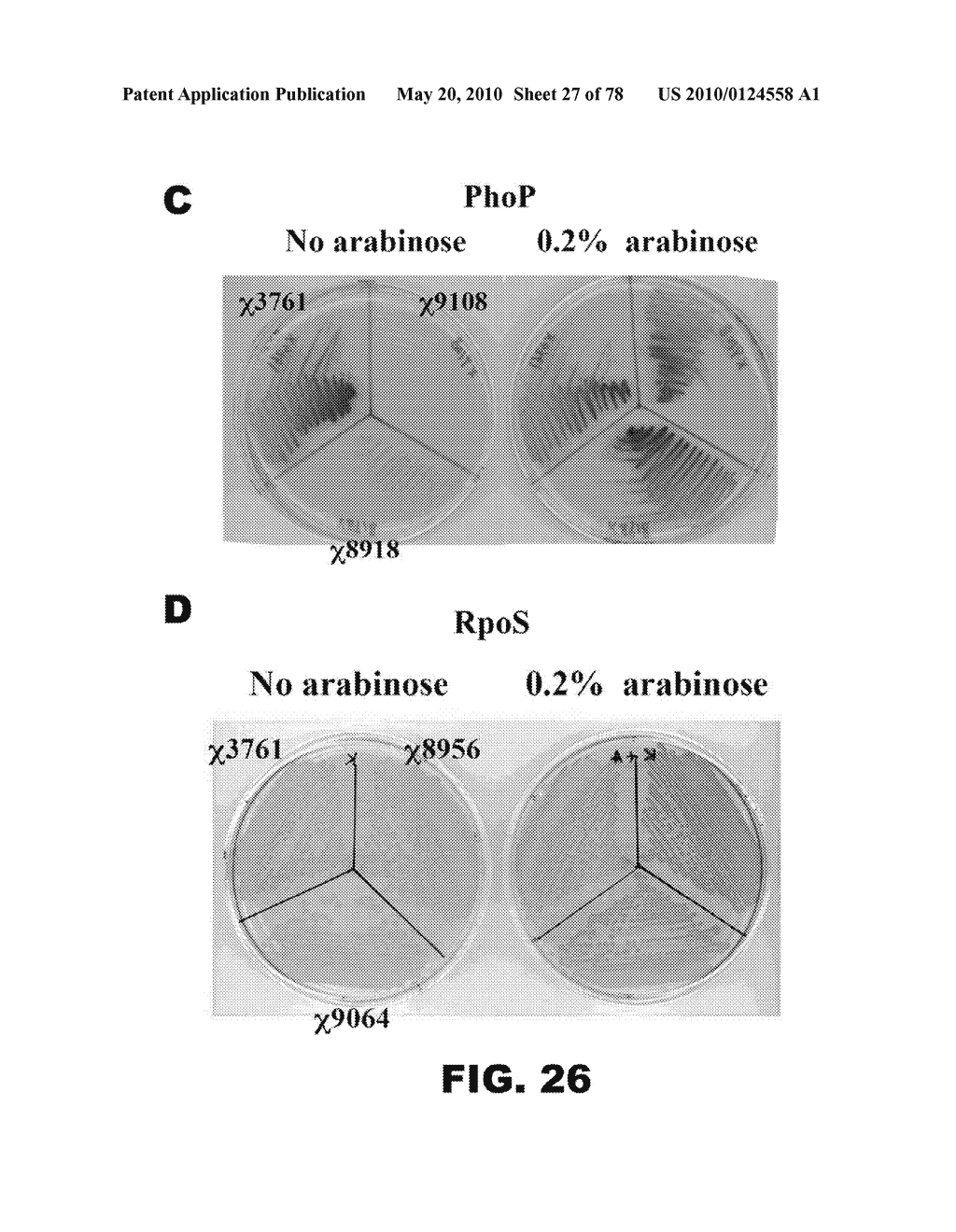 REGULATED EXPRESSION OF ANTIGEN AND/OR REGULATED ATTENTUATION TO ENHANCE VACCINE IMMUNOGENICITY AND/OR SAFETY - diagram, schematic, and image 28