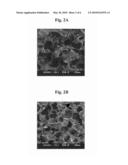 HIGHLY RESILIENT COPOLYMER WITH SHAPE RECOVERY FORCE AND FLEXIBILITY AND THE USE THEREOF FOR THE REPAIR OF ARTICULAR CARTILAGE DEFECTS diagram and image