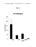 EXTRACELLULAR MATRIX COMPOSITIONS FOR THE TREATMENT OF CANCER diagram and image