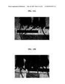 EXTRACELLULAR MATRIX COMPOSITIONS FOR THE TREATMENT OF CANCER diagram and image