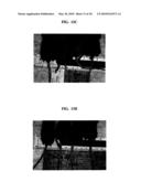 EXTRACELLULAR MATRIX COMPOSITIONS FOR THE TREATMENT OF CANCER diagram and image