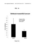 EXTRACELLULAR MATRIX COMPOSITIONS FOR THE TREATMENT OF CANCER diagram and image