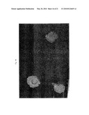 Polyurethanes, articles and coatings prepared therefrom and methods of making the same diagram and image