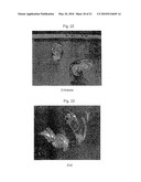 Polyurethanes, articles and coatings prepared therefrom and methods of making the same diagram and image