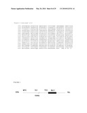 METHODS FOR DETECTING IgH/BCL-1 CHROMOSOMAL TRANSLOCATION diagram and image