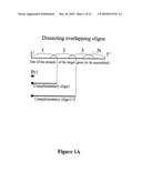 Microarray Synthesis and Assembly of Gene-Length Polynucleotides diagram and image