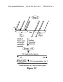 Microarray Synthesis and Assembly of Gene-Length Polynucleotides diagram and image