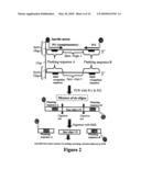 Microarray Synthesis and Assembly of Gene-Length Polynucleotides diagram and image