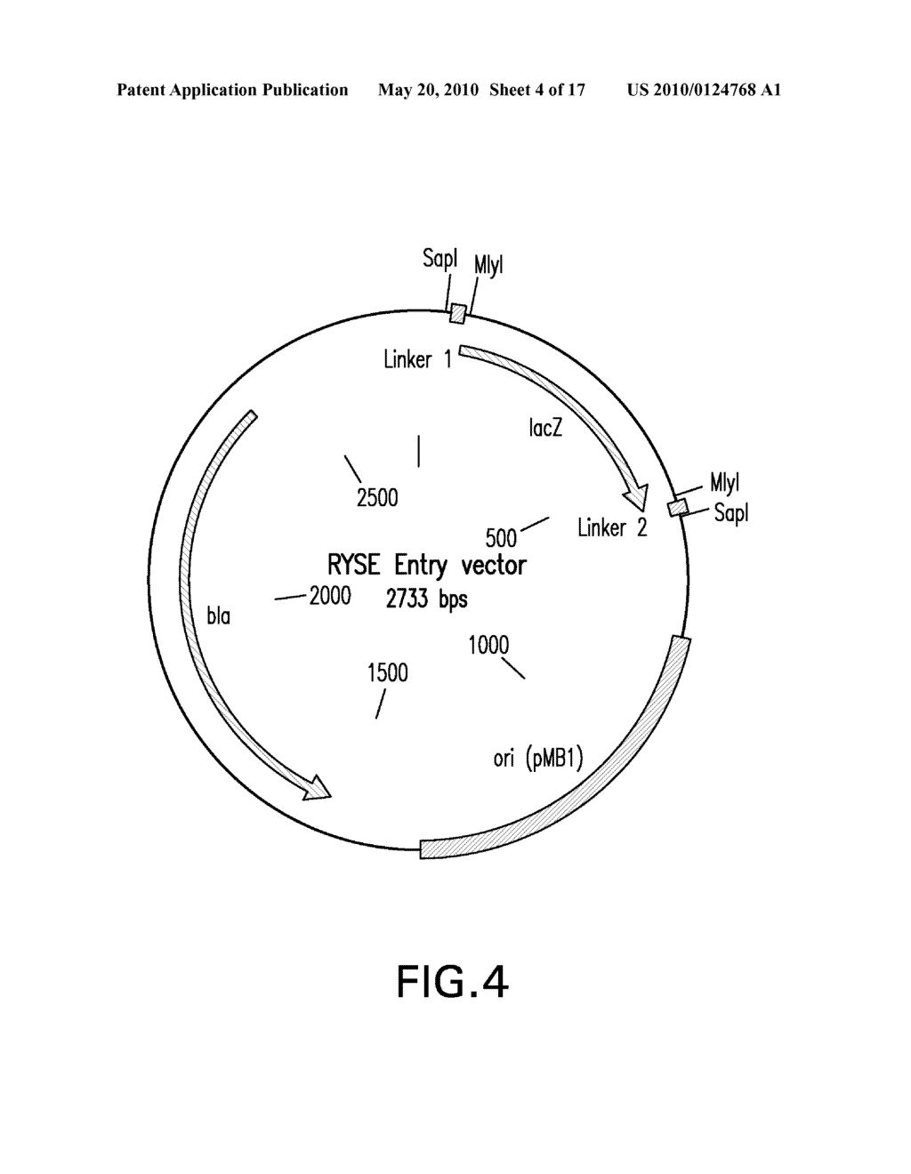 COMPOSITIONS AND METHODS FOR THE ASSEMBLY OF POLYNUCLEOTIDES - diagram, schematic, and image 05