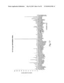 Novel Nucleotide and Amino Acid Sequences, and Assays and Methods of use Thereof for Diagnosis of Ovarian Cancer diagram and image