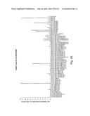 Novel Nucleotide and Amino Acid Sequences, and Assays and Methods of use Thereof for Diagnosis of Ovarian Cancer diagram and image