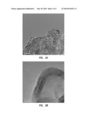 CARBON NANOSTRUCTURES MANUFACTURED FROM CATALYTIC TEMPLATING NANOPARTICLES diagram and image