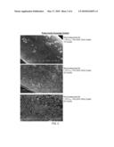 CONTROLLED ELECTRODEPOSITION OF NANOPARTICLES diagram and image