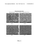 CONTROLLED ELECTRODEPOSITION OF NANOPARTICLES diagram and image