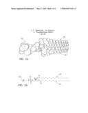 Nanoparticles for Delivery of Therapeutic Agents Using Ultrasound and Associated Methods diagram and image