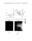 RENDERING FOR IMPROVED DIAGNOSTIC IMAGE CONSISTENCY diagram and image