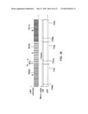 Gamma correction for adjustable light source diagram and image