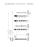 SERVICE CONTENT SYNCHRONIZATION OF MULTICAST DATA FOR MOBILE NODES MOVING BETWEEN NETWORKS WITH DIFFERENT RADIO ACCESS TECHNOLOGIES diagram and image