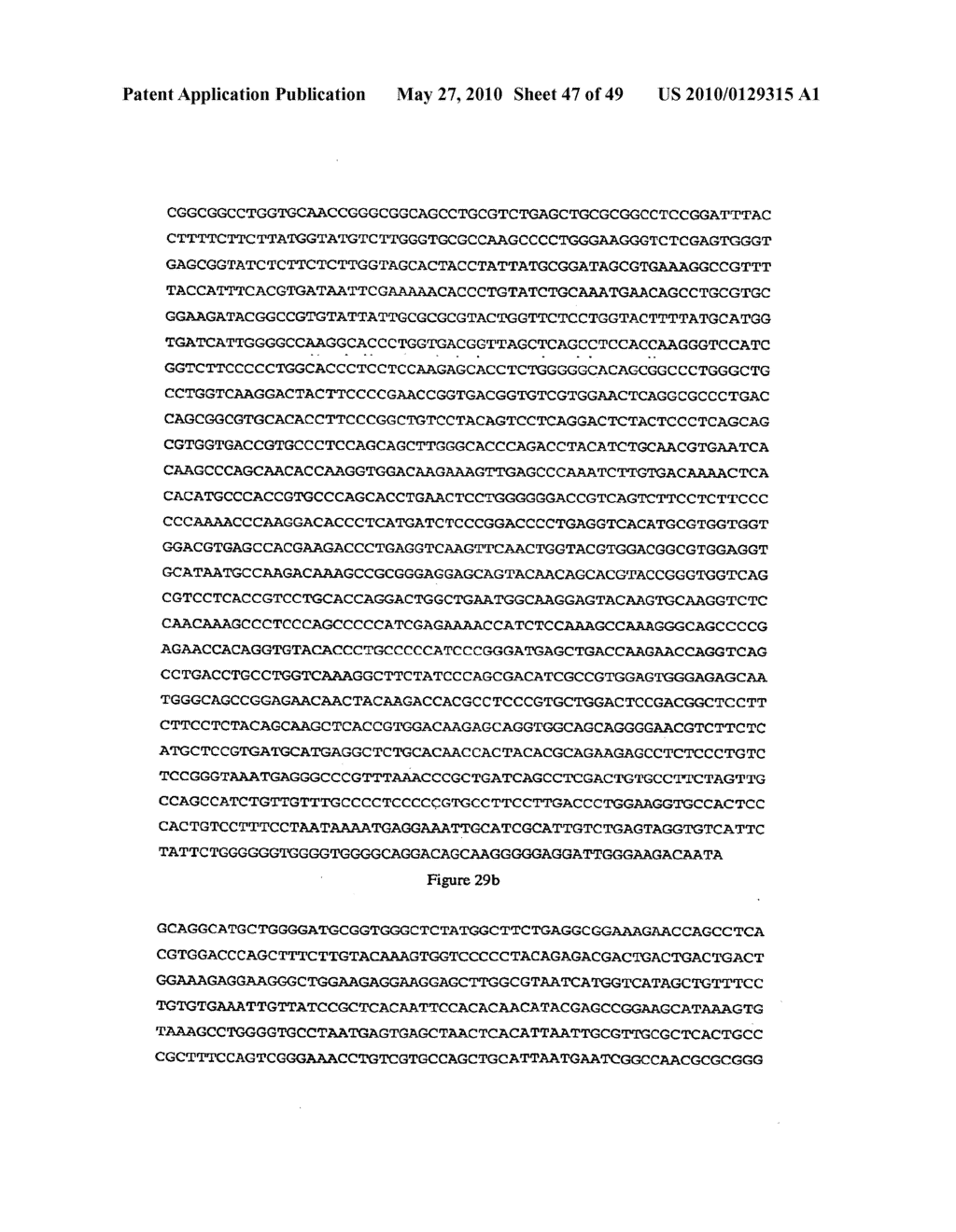 Anti-MN Antibodies and Methods of Using Same - diagram, schematic, and image 48