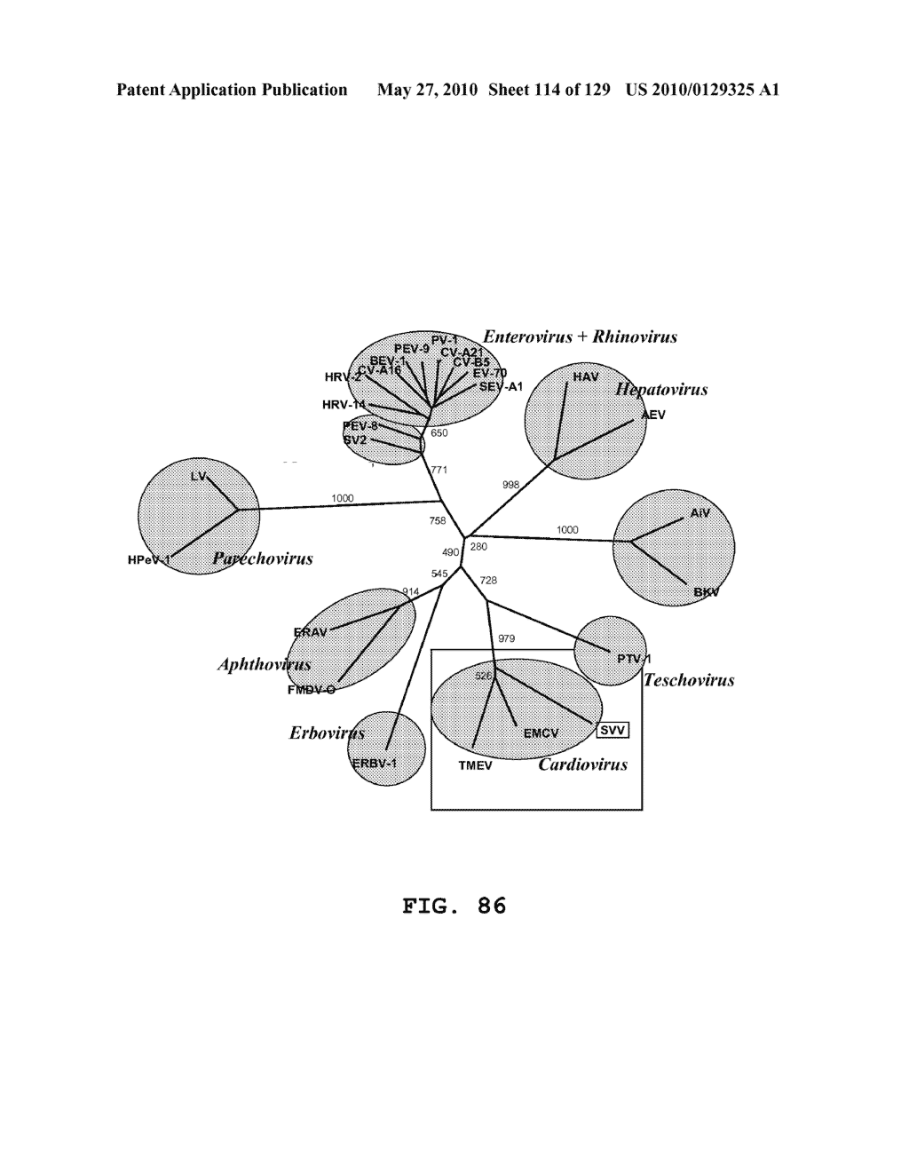 SENECA VALLEY VIRUS BASED COMPOSITIONS AND METHODS FOR TREATING DISEASE - diagram, schematic, and image 115