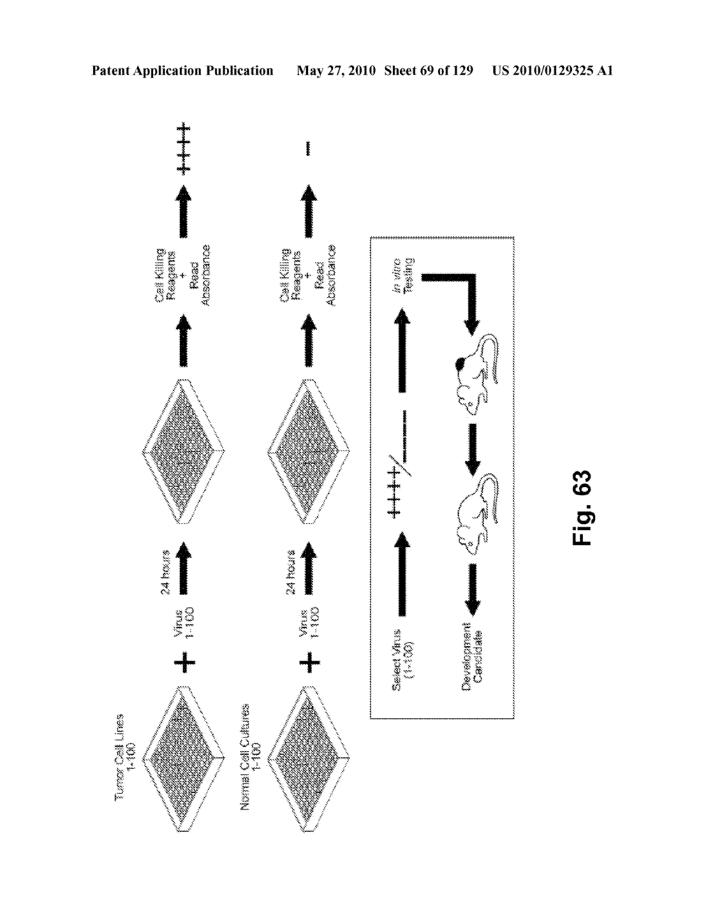 SENECA VALLEY VIRUS BASED COMPOSITIONS AND METHODS FOR TREATING DISEASE - diagram, schematic, and image 70