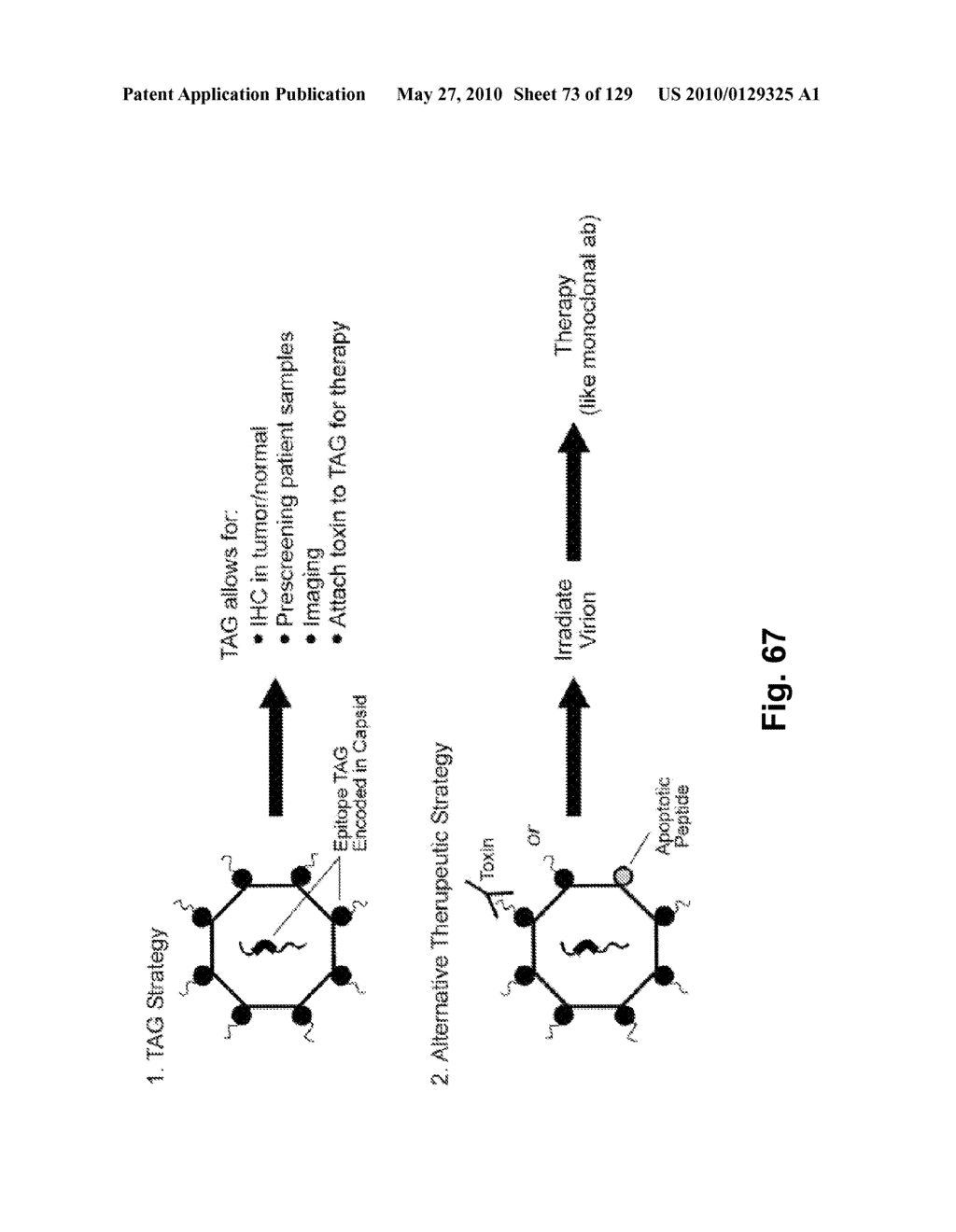 SENECA VALLEY VIRUS BASED COMPOSITIONS AND METHODS FOR TREATING DISEASE - diagram, schematic, and image 74