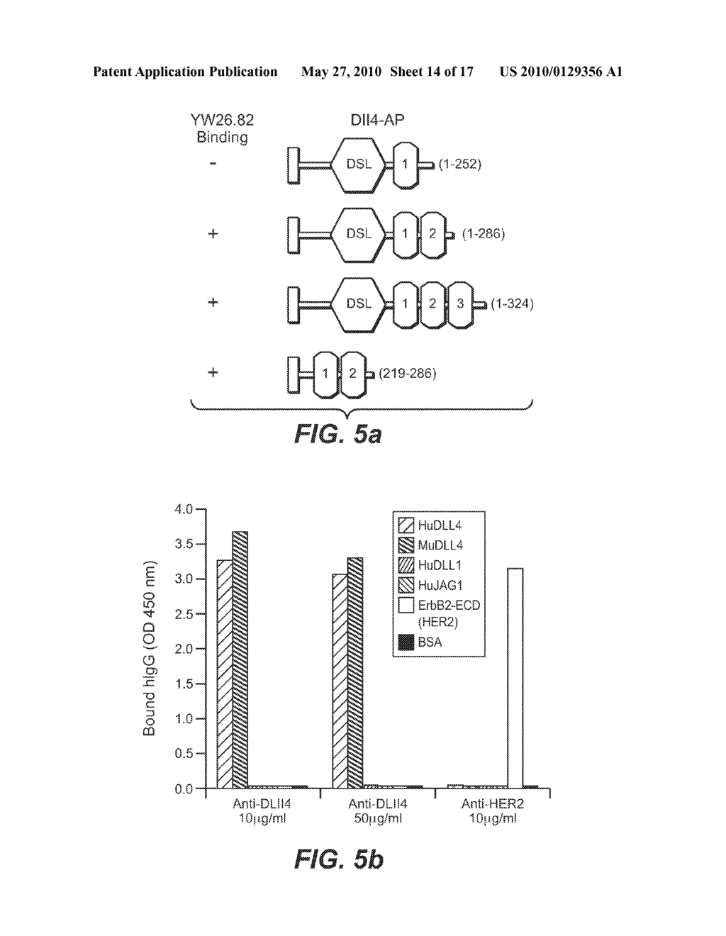 COMPOSITIONS AND METHODS FOR MODULATING VASCULAR DEVELOPMENT - diagram, schematic, and image 15