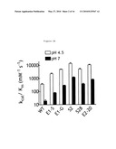 HUMAN BETA-GLUCURONIDASE MUTANTS WITH ELEVATED ENZYMATIC ACTIVITY UNDER PHYSIOLOGICAL CONDITIONS AND METHOD FOR IDENTIFYING SUCH diagram and image