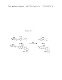 HUMAN BETA-GLUCURONIDASE MUTANTS WITH ELEVATED ENZYMATIC ACTIVITY UNDER PHYSIOLOGICAL CONDITIONS AND METHOD FOR IDENTIFYING SUCH diagram and image