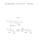 HUMAN BETA-GLUCURONIDASE MUTANTS WITH ELEVATED ENZYMATIC ACTIVITY UNDER PHYSIOLOGICAL CONDITIONS AND METHOD FOR IDENTIFYING SUCH diagram and image