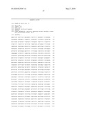 HUMAN BETA-GLUCURONIDASE MUTANTS WITH ELEVATED ENZYMATIC ACTIVITY UNDER PHYSIOLOGICAL CONDITIONS AND METHOD FOR IDENTIFYING SUCH diagram and image