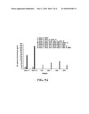 BIFUNCTIONAL FUSION MOLECULES FOR THE DELIVERY OF ANTIGENS TO PROFESSIONAL ANTIGEN-PRESENTING CELLS diagram and image