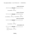 IMMUNOGENIC MOLECULES diagram and image