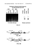 Robust Expression of a Bioactive Mammalian Protein in Chlamydomonas Chloroplast diagram and image