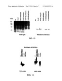 Robust Expression of a Bioactive Mammalian Protein in Chlamydomonas Chloroplast diagram and image