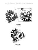 ATTENUATED VIRUSES, VACCINES AND METHODS OF USE THEREOF diagram and image