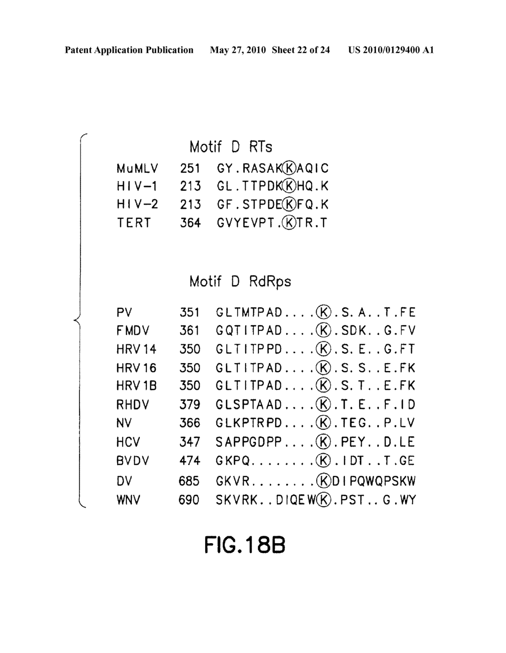 ATTENUATED VIRUSES, VACCINES AND METHODS OF USE THEREOF - diagram, schematic, and image 23