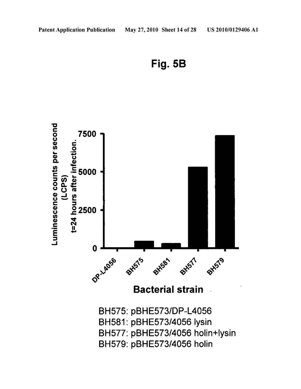 HOLIN-ENHANCED VACCINES AND REAGENTS, AND METHODS OF USE THEREOF - diagram, schematic, and image 15