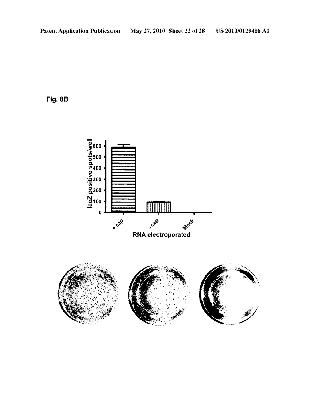 HOLIN-ENHANCED VACCINES AND REAGENTS, AND METHODS OF USE THEREOF - diagram, schematic, and image 23