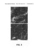 Method for preparing hydro/organo gelators from disaccharide sugars by biocatalysis and their use in enzyme-triggered drug delivery diagram and image