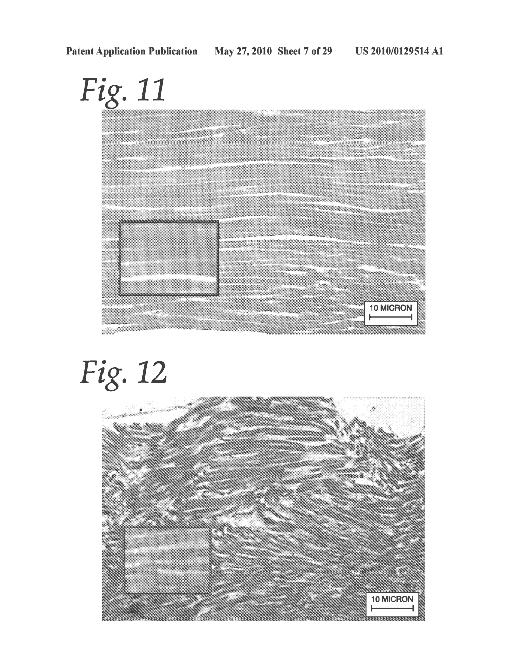 METHOD AND APPARATUS FOR CONTINUOUS PROCESSING OF WHOLE MUSCLE MEAT PRODUCTS - diagram, schematic, and image 08