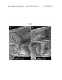 Multilayer Coatings diagram and image