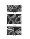 MICROTUBES AND METHODS OF PRODUCING SAME diagram and image