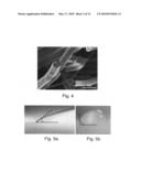 MICROTUBES AND METHODS OF PRODUCING SAME diagram and image